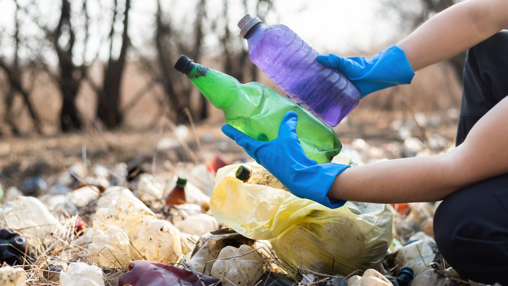The Importance of Plastic Waste Recycling for a Sustainable Future